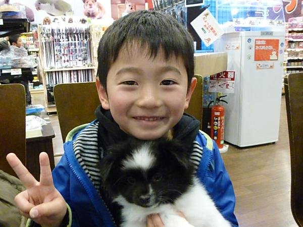 写真