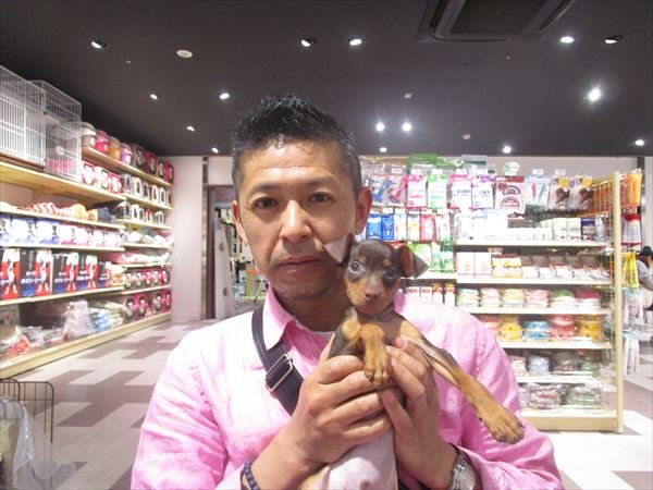 写真