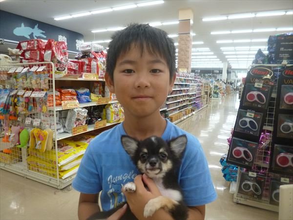 写真