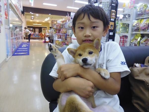 写真