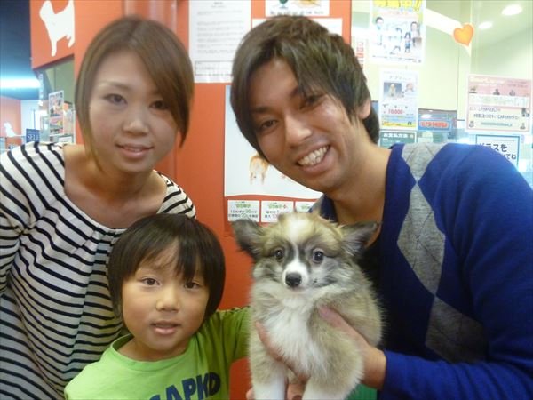 写真