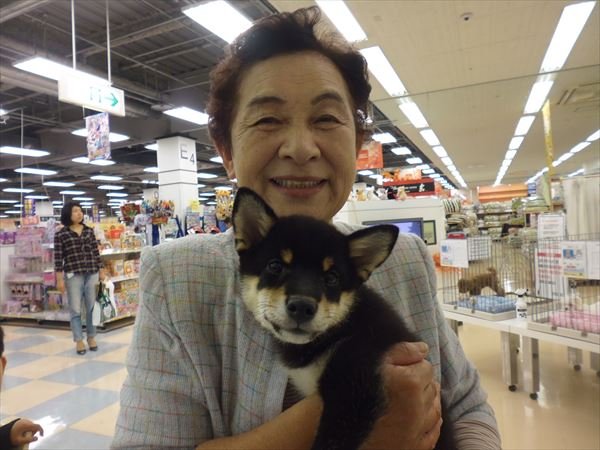 写真