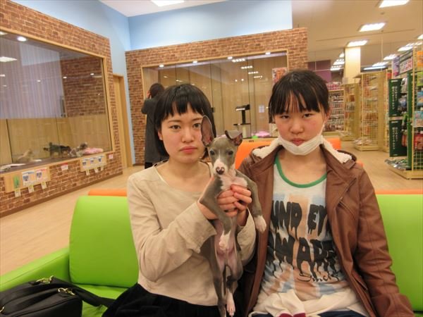 写真