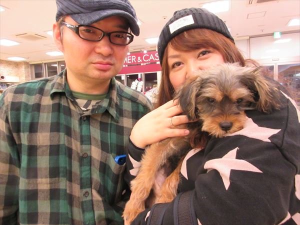写真
