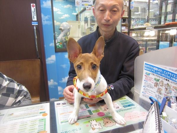 写真