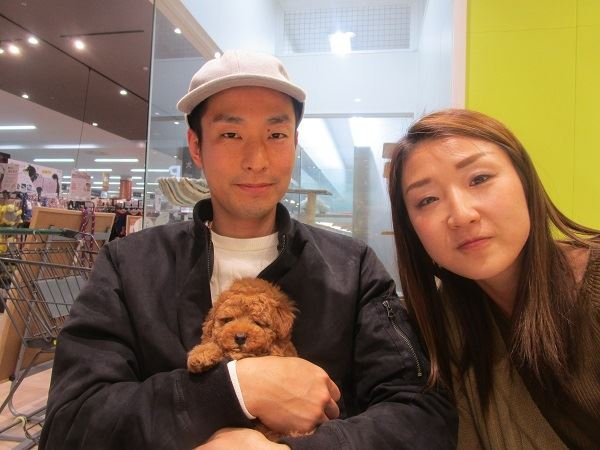 写真