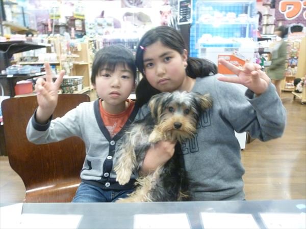 写真