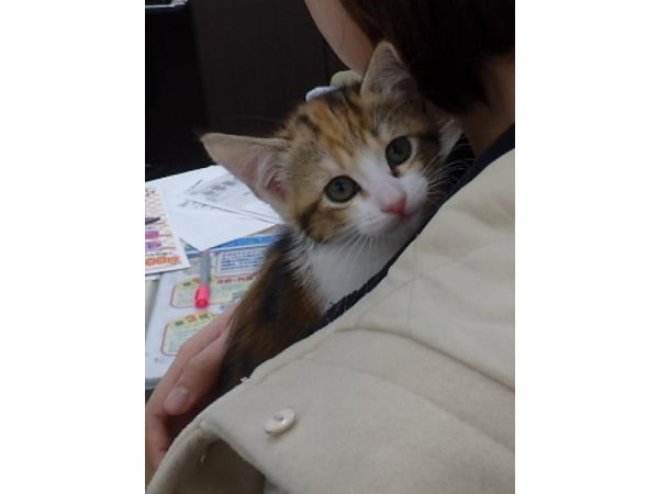写真