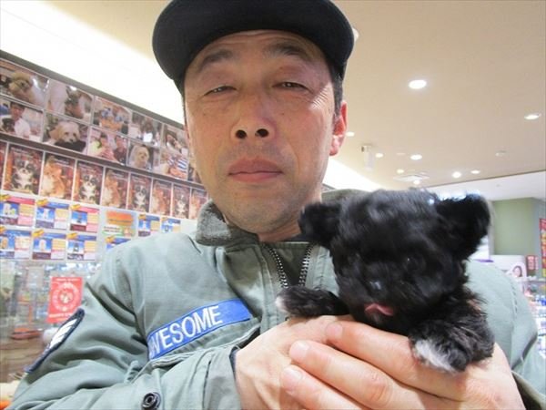 写真