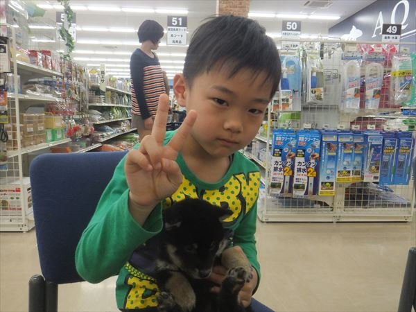 写真
