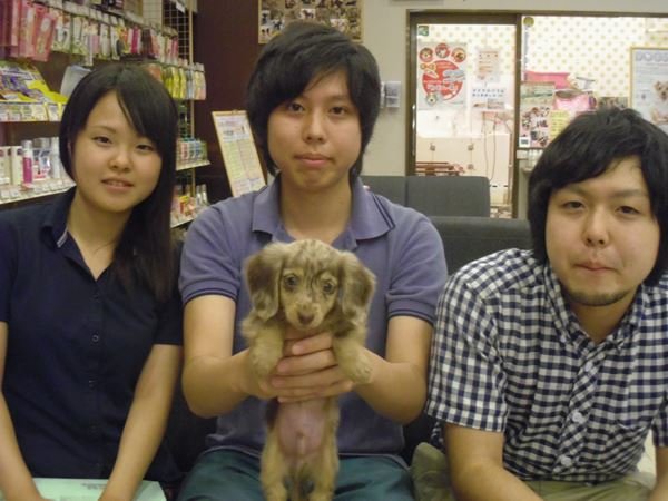 写真