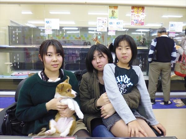写真