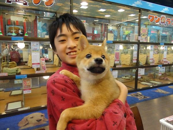 写真