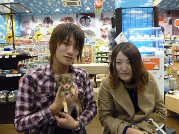 写真