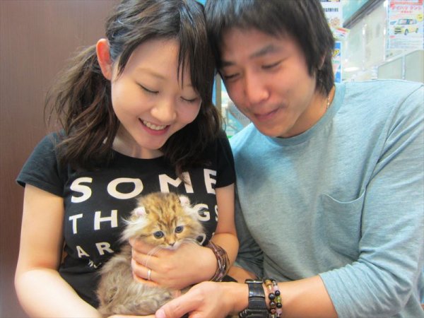 写真