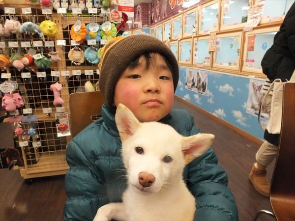 写真