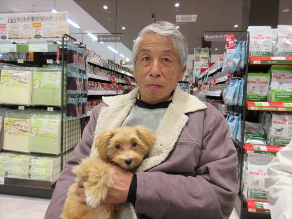 写真