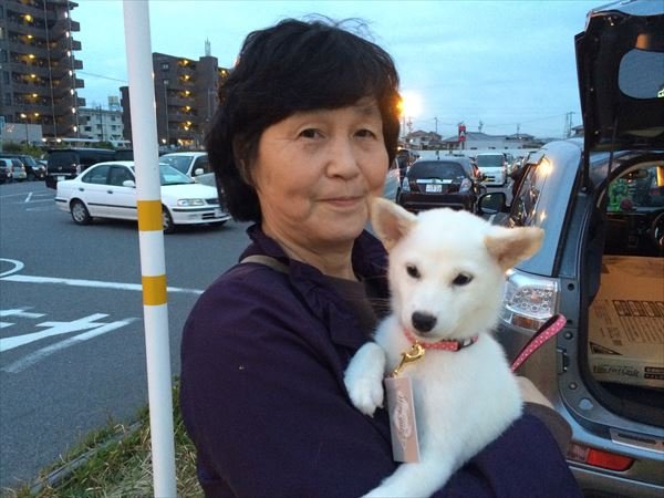 写真