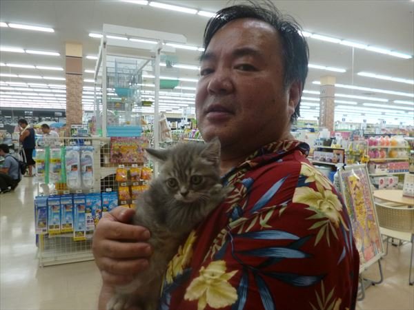 写真