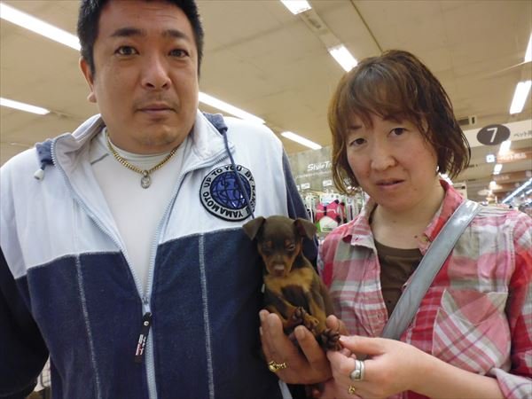 写真