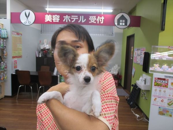 写真