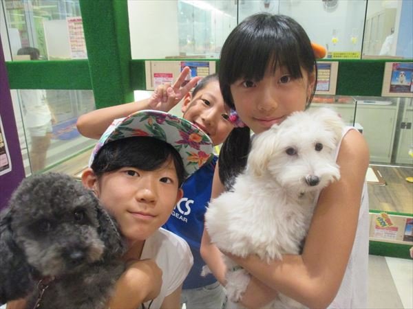 写真