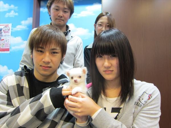 写真