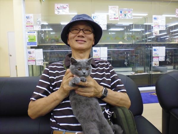 写真