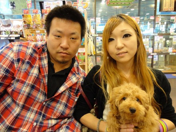 写真
