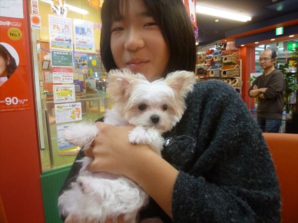 写真