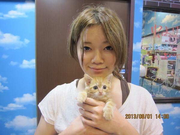 写真
