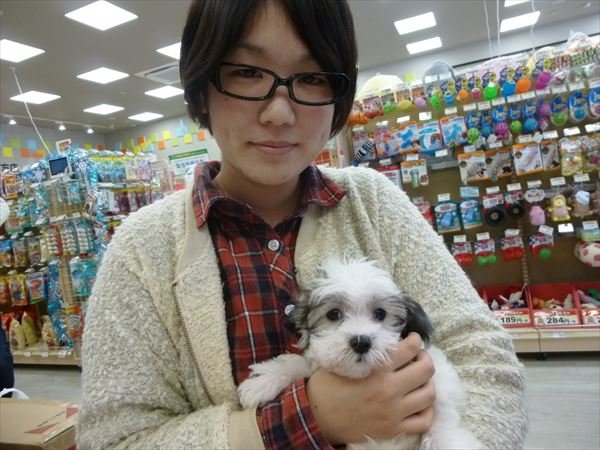 写真