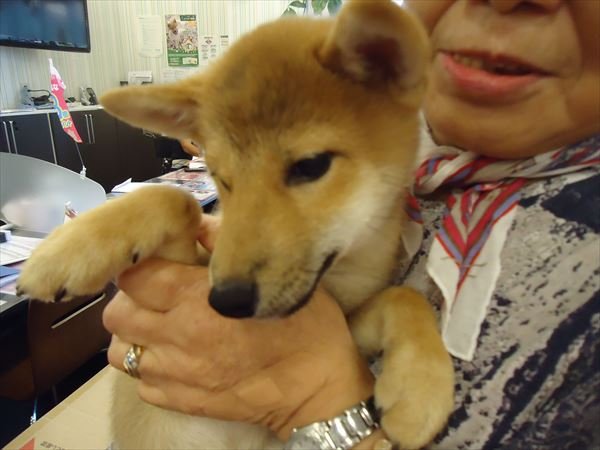 写真