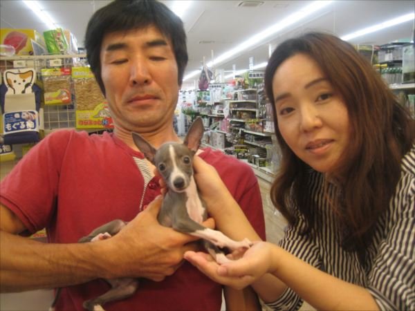 写真