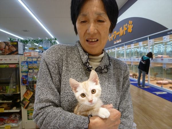 写真