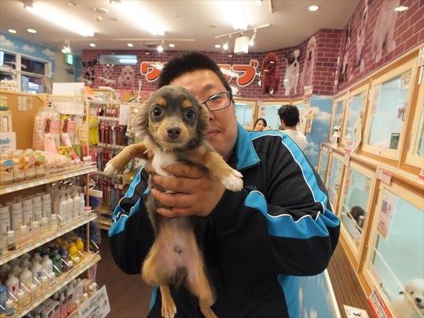 写真
