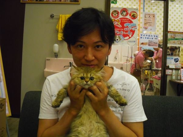 写真