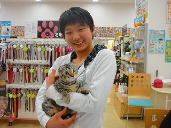 写真