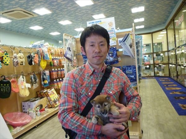 写真