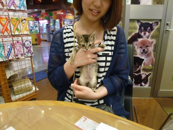 写真