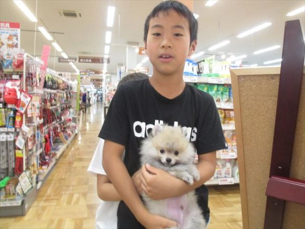 写真