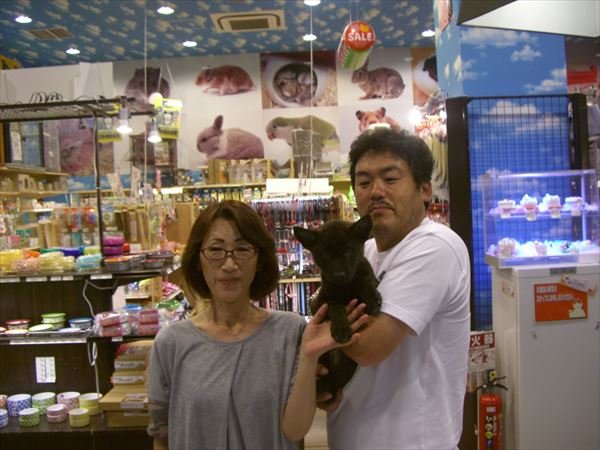写真