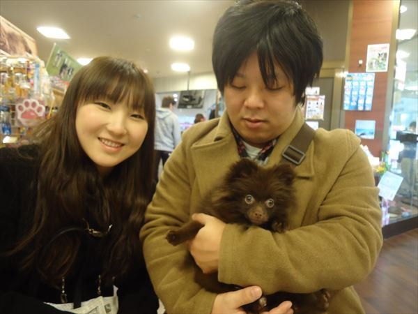 写真