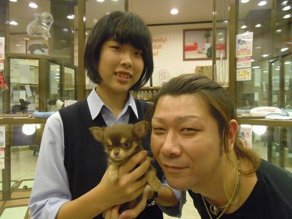 写真