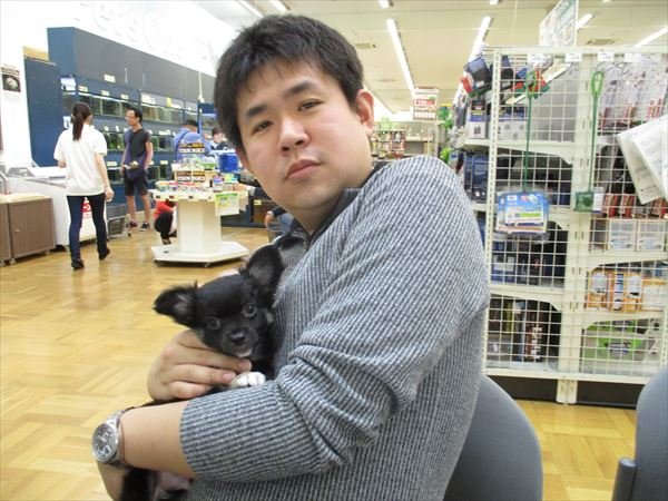 写真