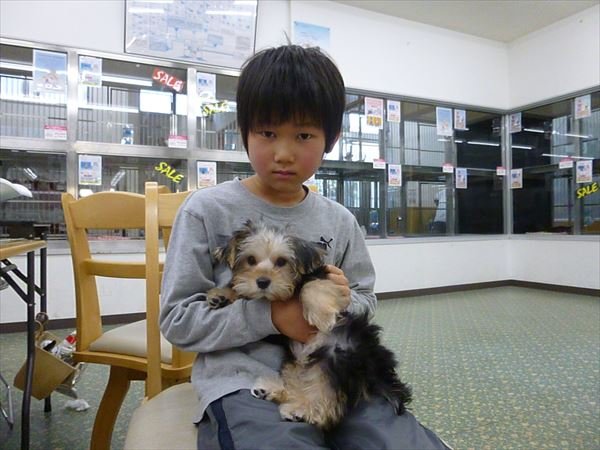 写真