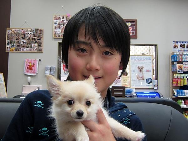 写真