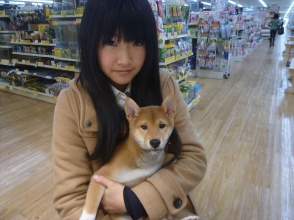 写真