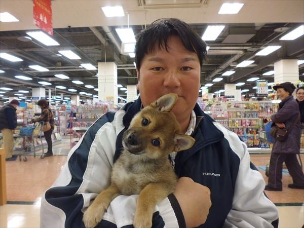 写真