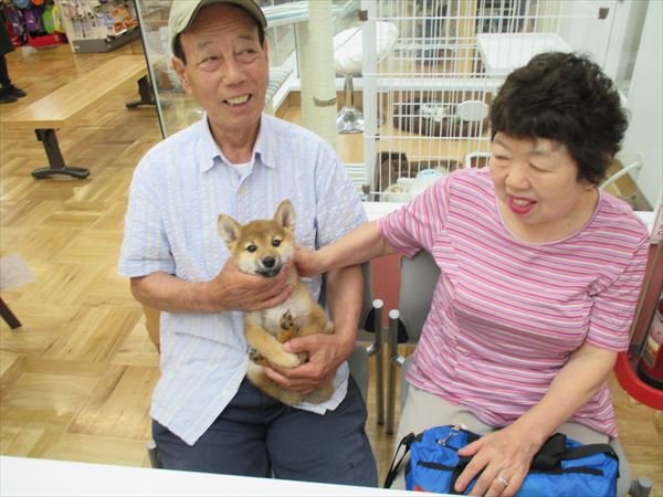 写真